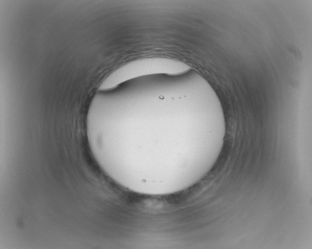 X0000115480272200911271334