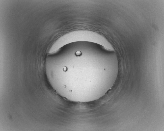 X0000115480276200911271334