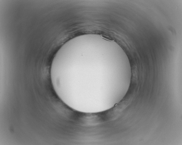 X0000115480278200911271334