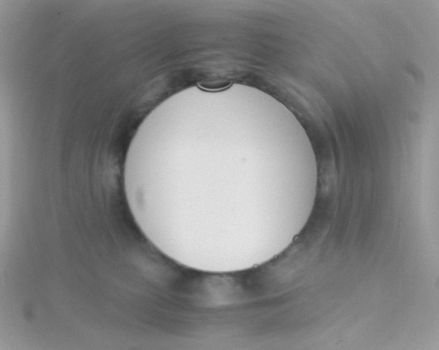 X0000115480279200911271334