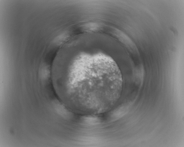 X0000115480284200911271334