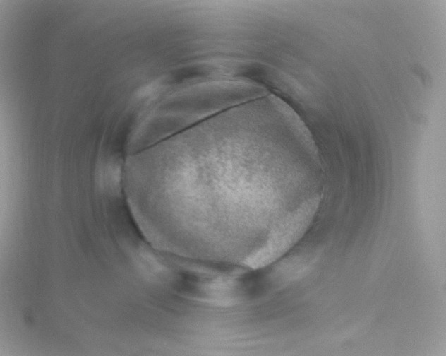 X0000115480288200911271334