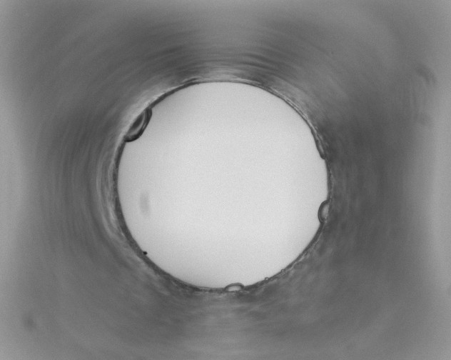 X0000115480289200911271334