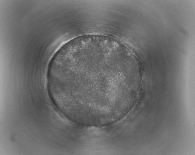 X0000115480290200911271334