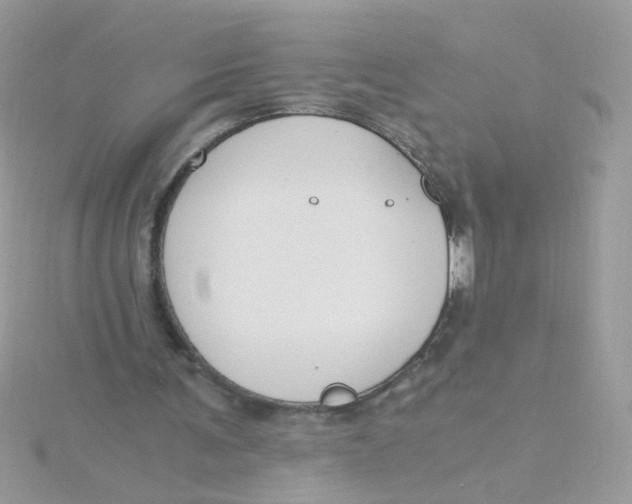 X0000115480291200911271334