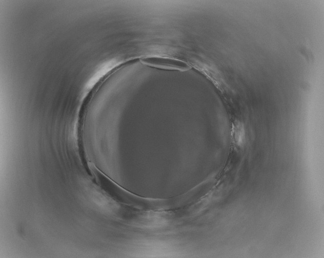 X0000115480292200911271334