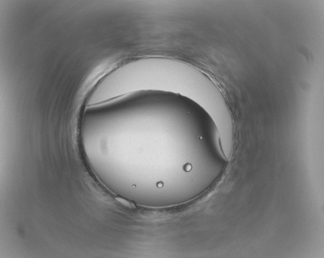 X0000115480293200911271334