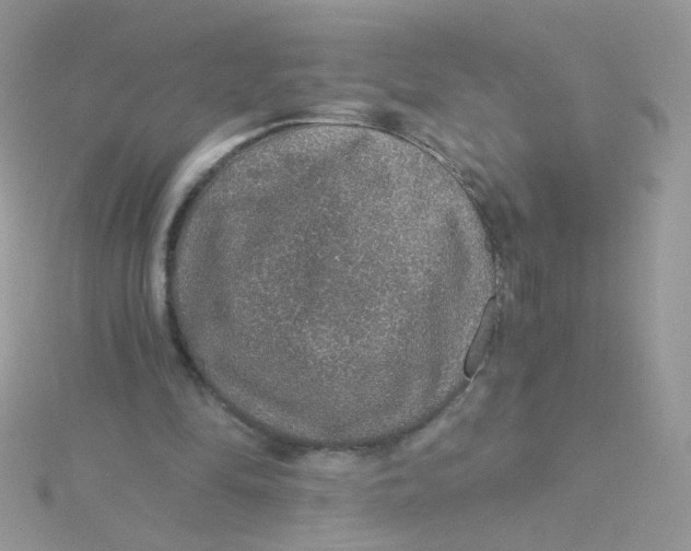 X0000115480294200911271334