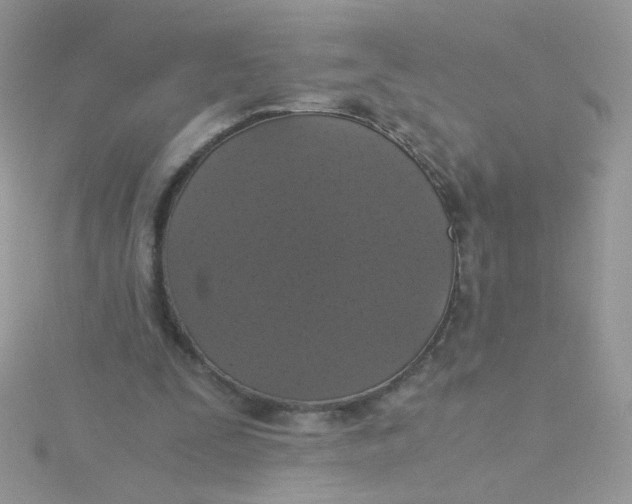 X0000115480295200911271334