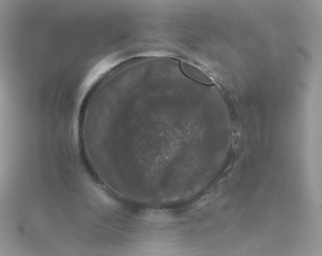 X0000115480296200911271334