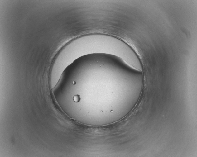 X0000115480297200911271334