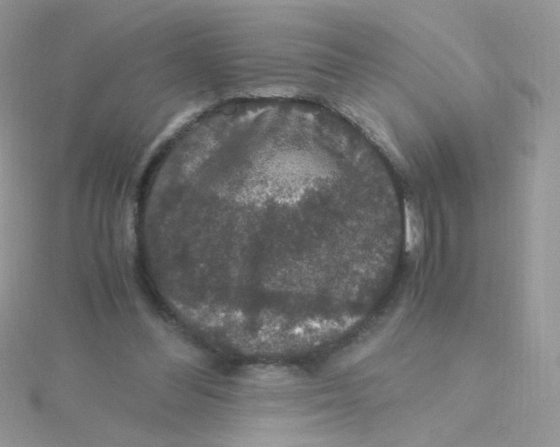 X0000115480300200911271334