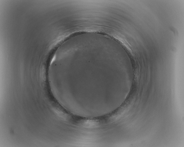 X0000115480303200911271334