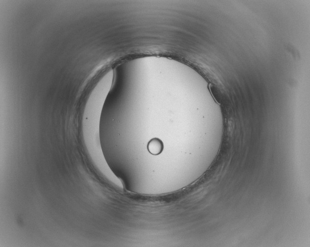 X0000115480304200911271333