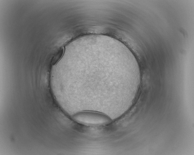 X0000115480305200911271333