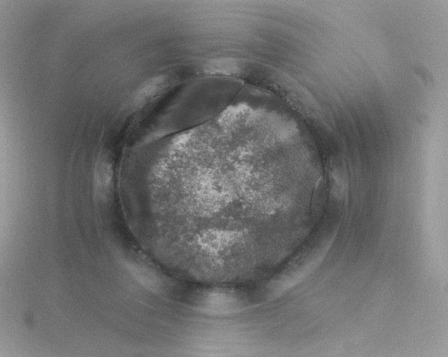 X0000115480308200911271333