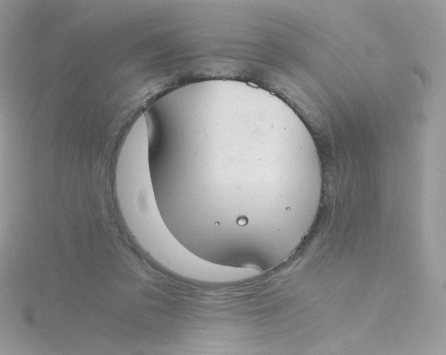 X0000115480309200911271333