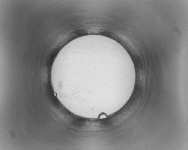 X0000115480311200911271333