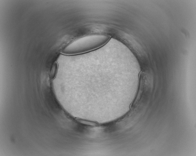 X0000115480313200911271333