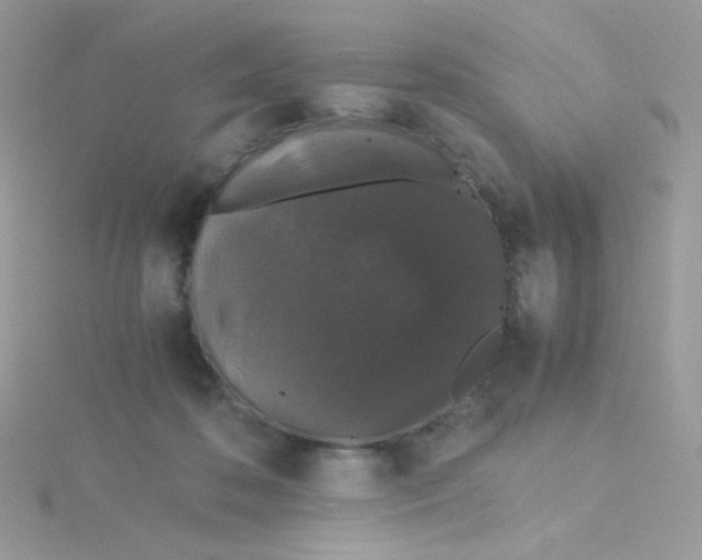 X0000115480316200911271333