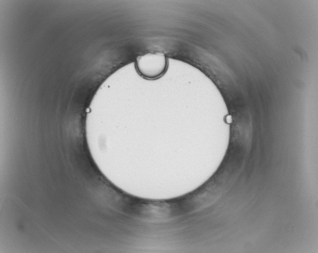 X0000115480317200911271333