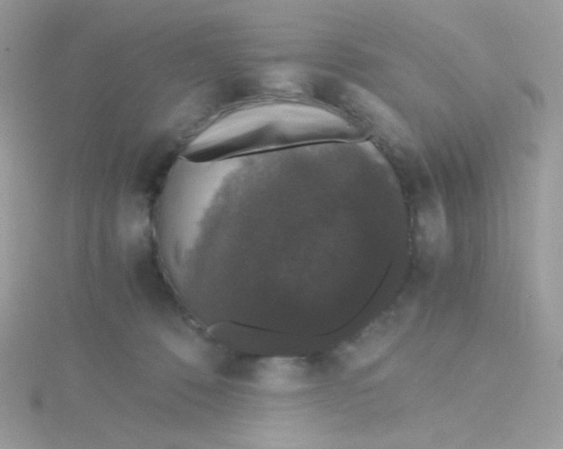 X0000115480320200911271333