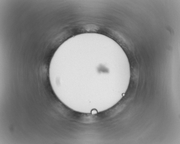 X0000115480321200911271333