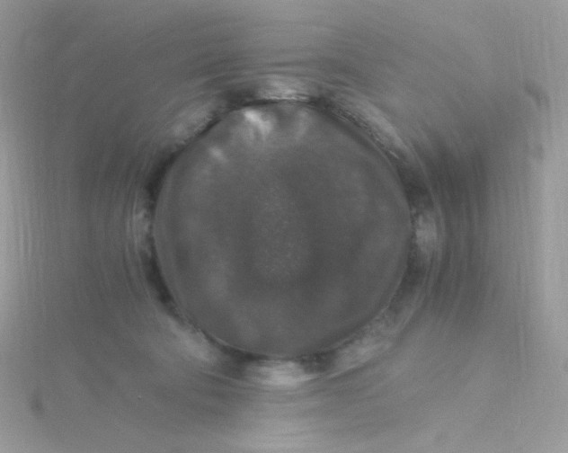 X0000115480322200911271333