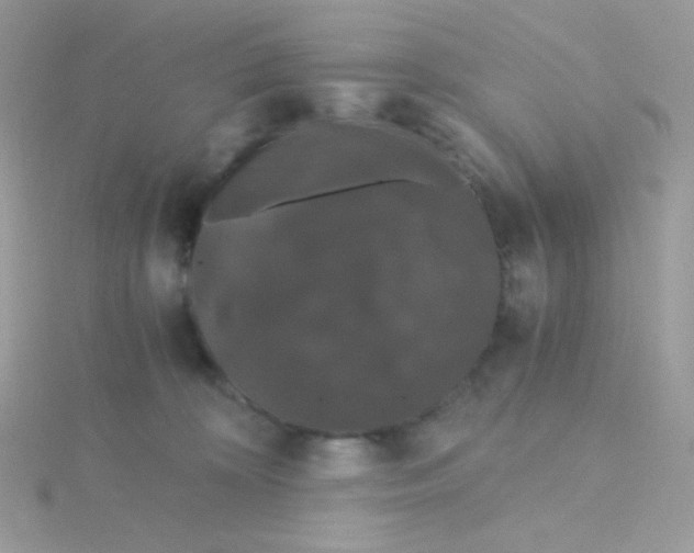 X0000115480324200911271333