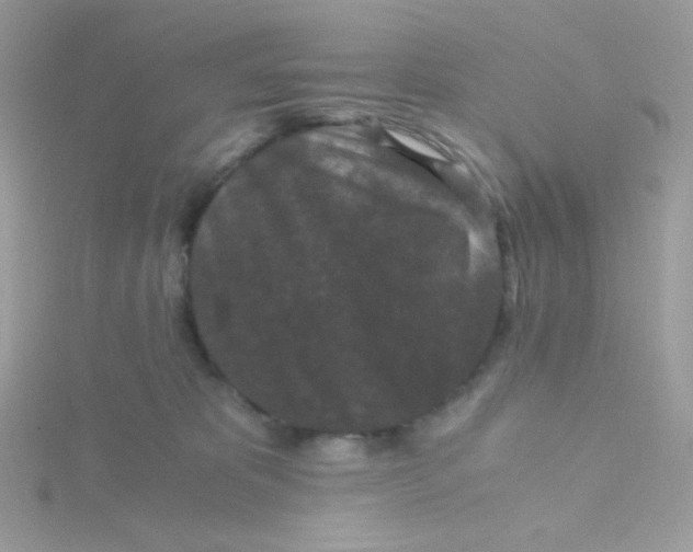 X0000115480325200911271333