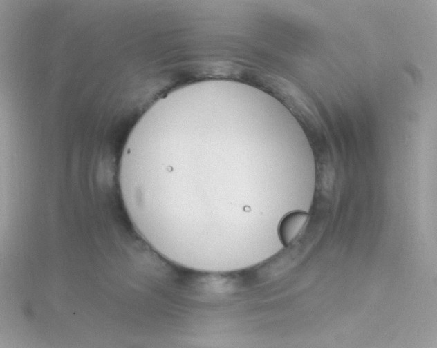 X0000115480326200911271333