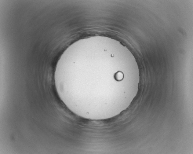 X0000115480328200911271333