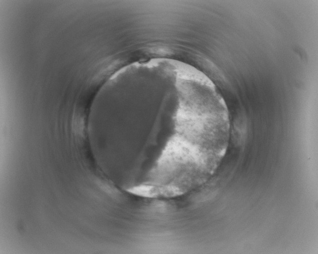 X0000115480330200911271333