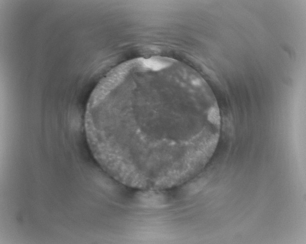 X0000115480331200911271333