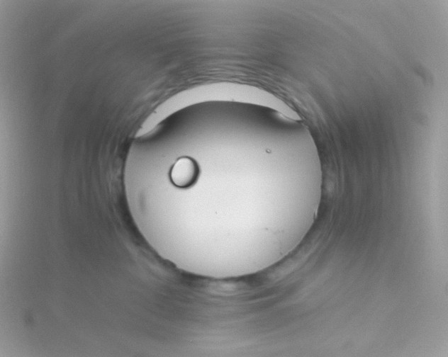 X0000115480332200911271333