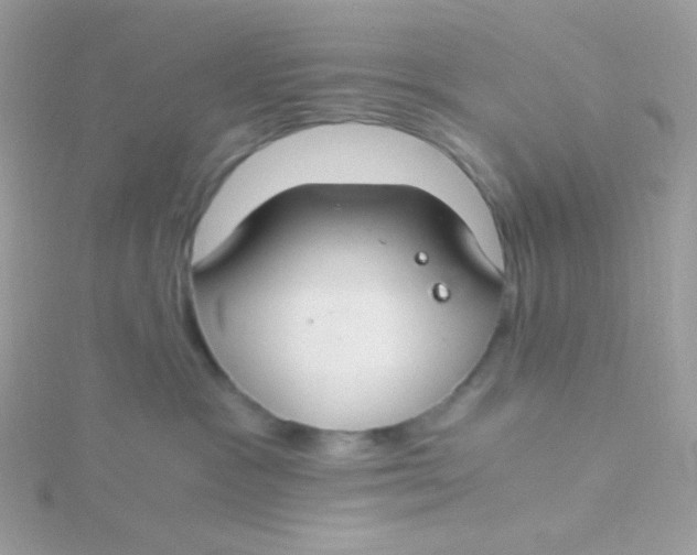 X0000115480333200911271333