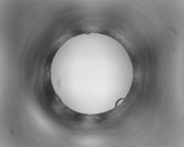 X0000115480334200911271333