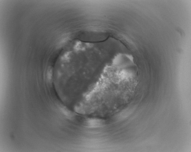 X0000115480336200911271333