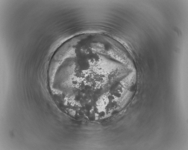 X0000115480337200911271332