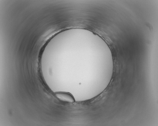 X0000115480338200911271332