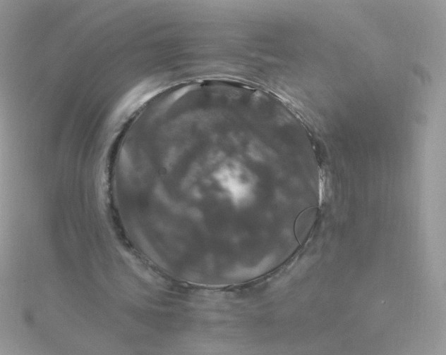 X0000115480339200911271332