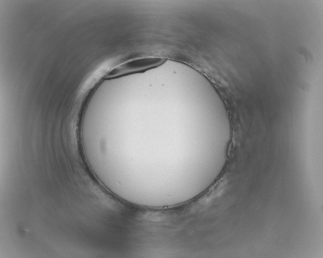 X0000115480341200911271333