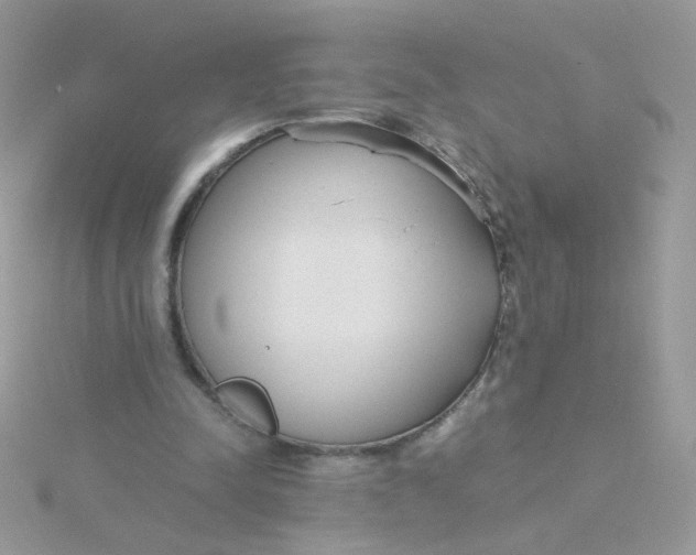 X0000115480342200911271333