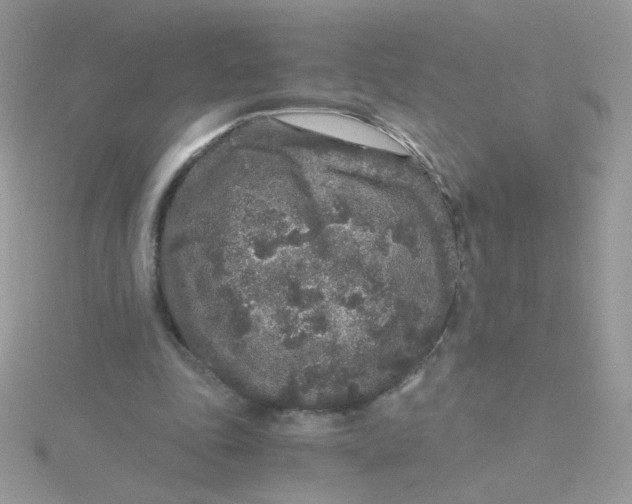 X0000115480343200911271333