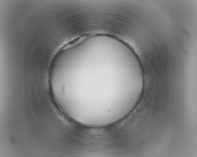 X0000115480345200911271333