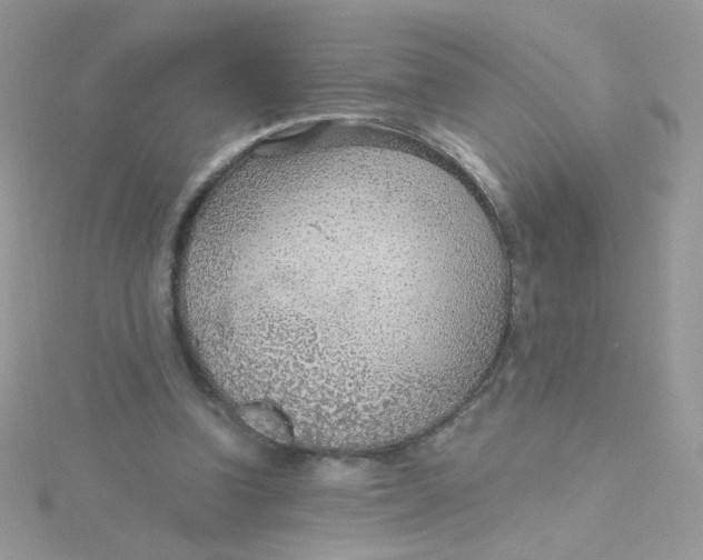 X0000115480346200911271333