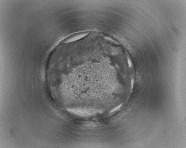 X0000115480347200911271333