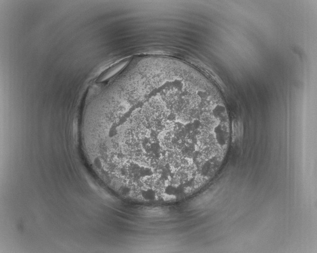 X0000115480349200911271333