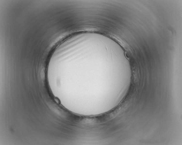 X0000115480350200911271333