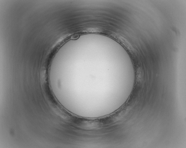 X0000115480351200911271333